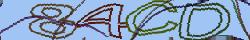 Retype the CAPTCHA code from the image